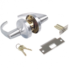 Door Lock Assembly