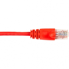 Box CAT6 Value Line Patch Cable Stranded Red 6-ft. (1.8-m)  25-Pack - Category 5e for Network Device - 6 ft - 25 Pack - 1 x RJ-45 Male Network - 1 x RJ-45 Male Network - Red