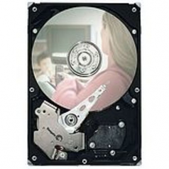 7200.3 160 GB 3.5 inch Internal Hard Drive - SATA - 7200 rpm - 2 MB Buffer - Hot Swappable