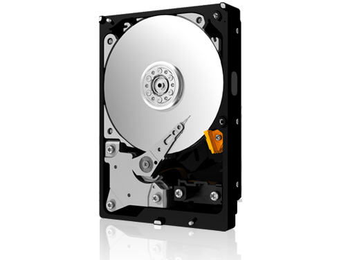 WD TDSourcing RE4 - Hard drive - 500 GB - internal - 3.5 inch - SATA 3Gb/s - 7200 rpm - buffer: 64 MB