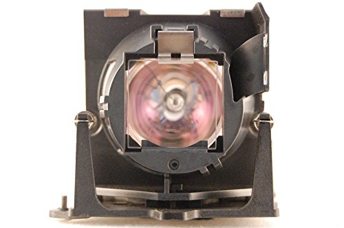 250W REPLACEMENT LAMP PROJECTOR F1