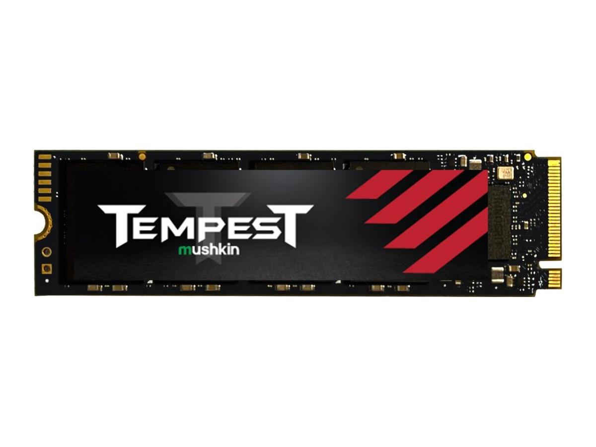 256GB TEMPEST M.2 2280 PCIE GEN3 X4 SSD