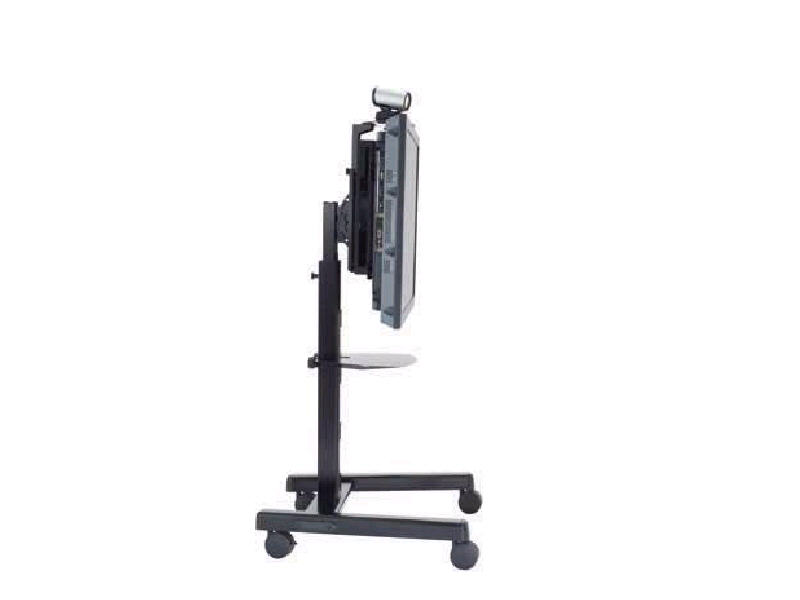 Flat Panel Mobile Stand - Up to 200lb - Up to 65 inch Flat Panel Display - Black - Floor-mountable