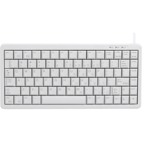 G84-4100 KEYBOARD ULTRA SLIM 86 KEY LIGHTGRAY USB/PS/2 WITH TAMPOPRINTED KEYCAPS WINDOWS KEY